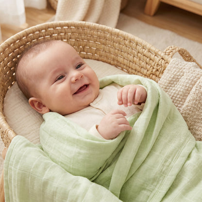 Solid Designs Swaddles
